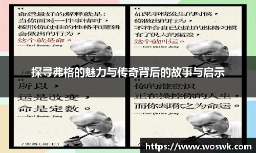 探寻弗格的魅力与传奇背后的故事与启示