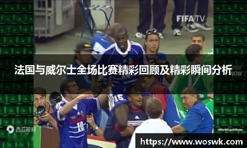 法国与威尔士全场比赛精彩回顾及精彩瞬间分析